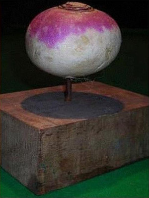 The magnificent Turnip Prize trophy