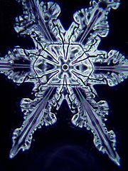 A snowflake under the microscope