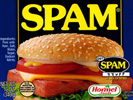 image of can of Spam