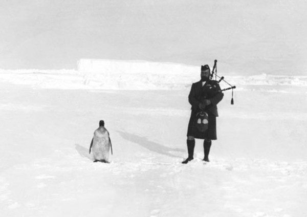 Gilbert Kerr, piper, with penguin. Photographed by William Speirs Bruce during the Scottish National Antarctic Expedition, 1902-04