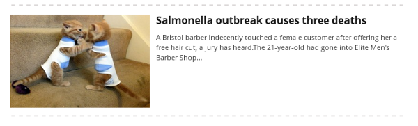 screensot of garbled article from Western Daily Press