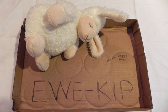 toy sheep in a cardboard tray labelled ewe-kip