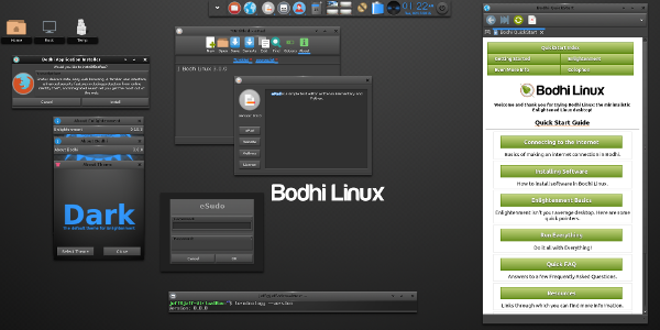 Bodhi Linux screenshot