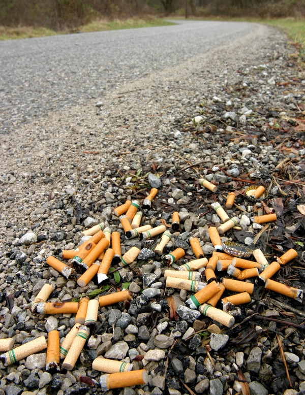 cigarette ends dumped at the roadside